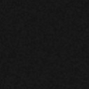 ral9005str